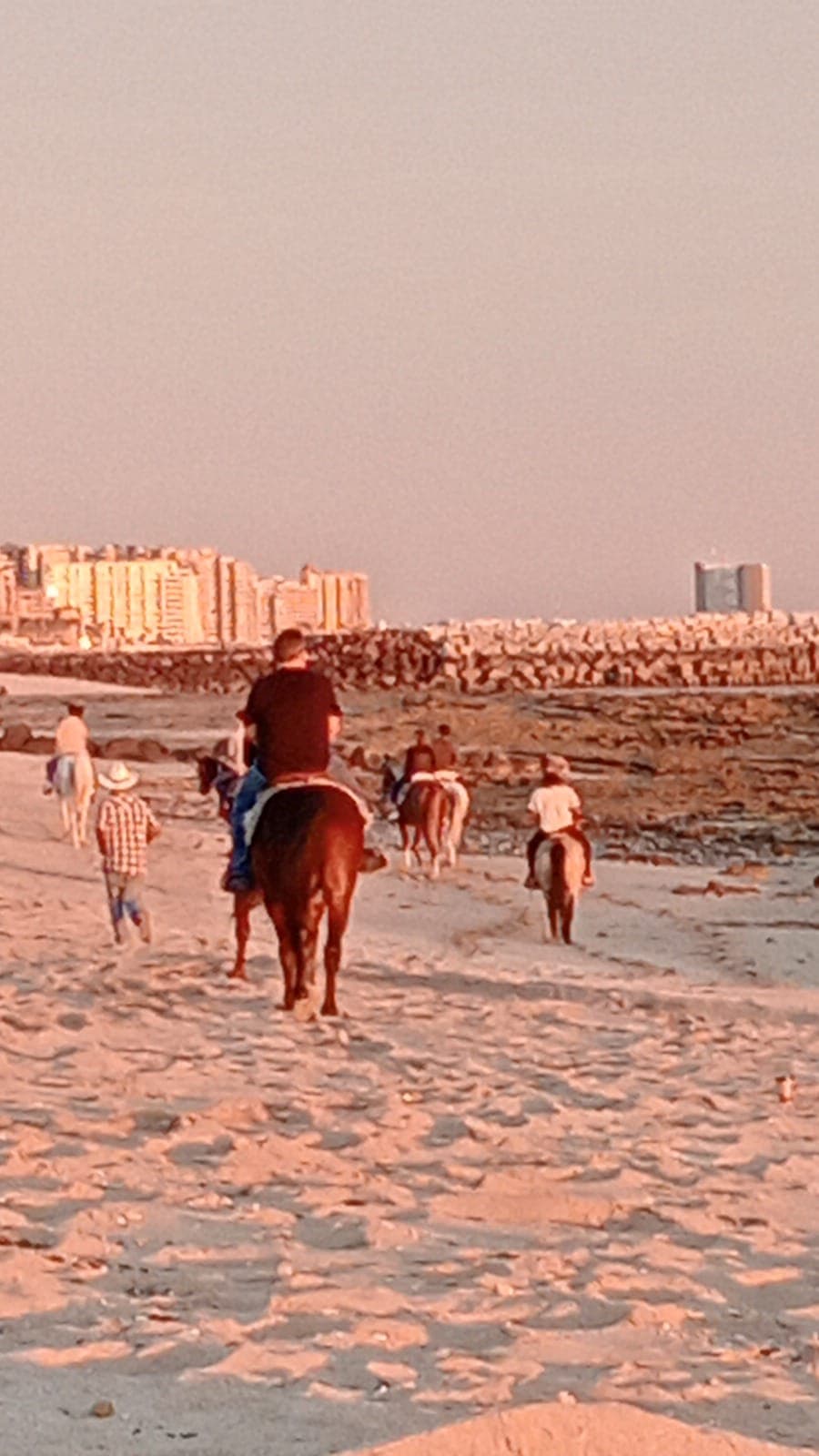 Horseback riding at beach sunset