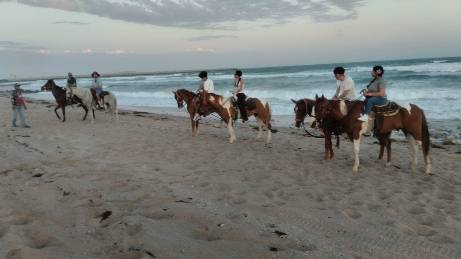 Group horseback riding with ocean waves
